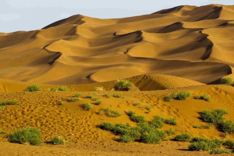 Taklamakan Desert