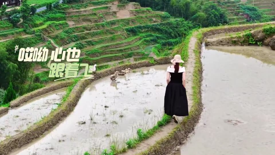 Scenery, countryside, China