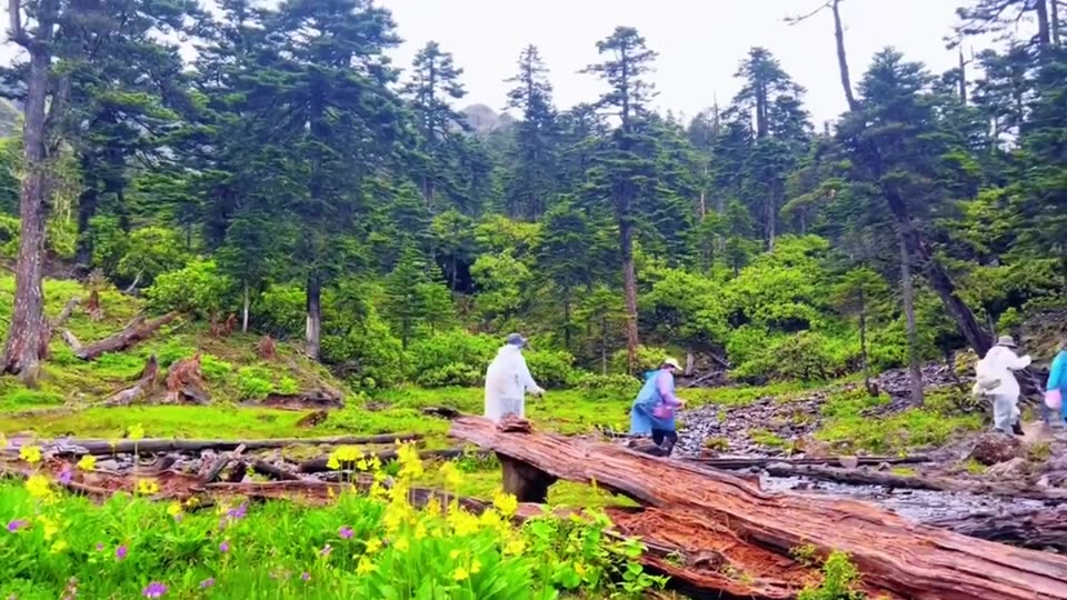 Yunnan Travel