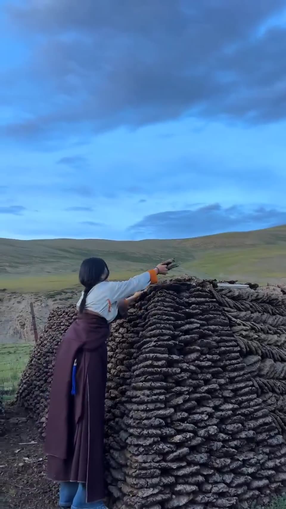 Tibetan herdsmen