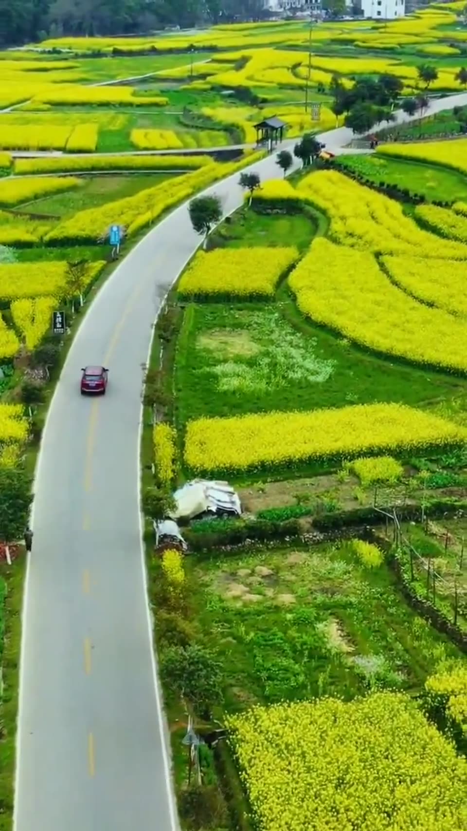 Rural Wuyuan
