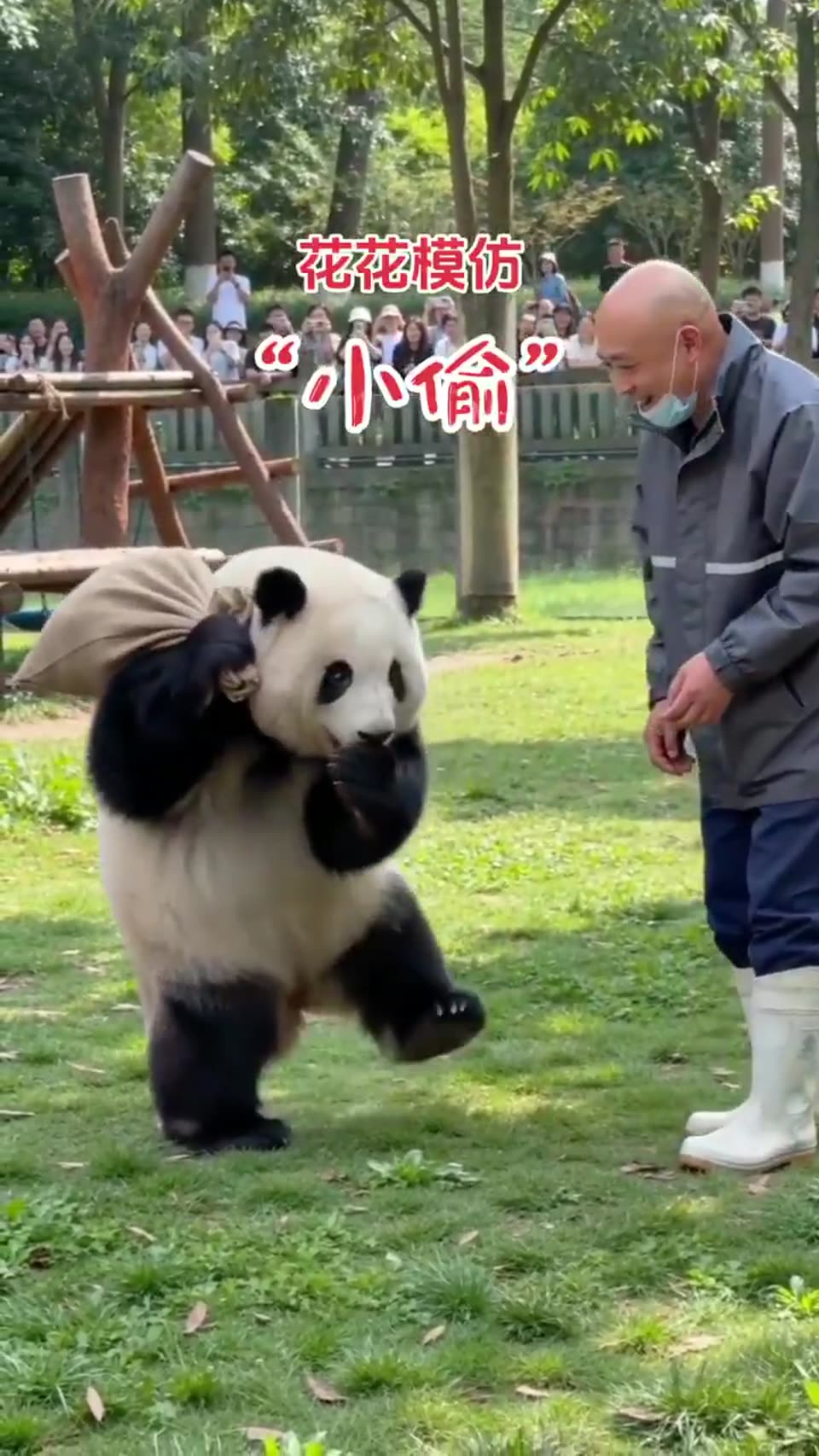 Panda actor