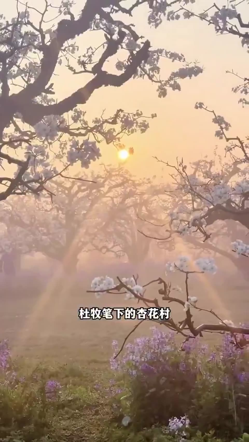 Welcome to Anhui