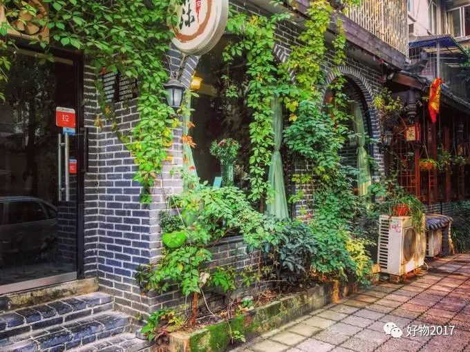 文章配图-3